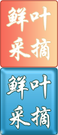 Ҷժ