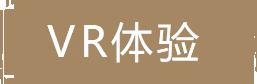 VR