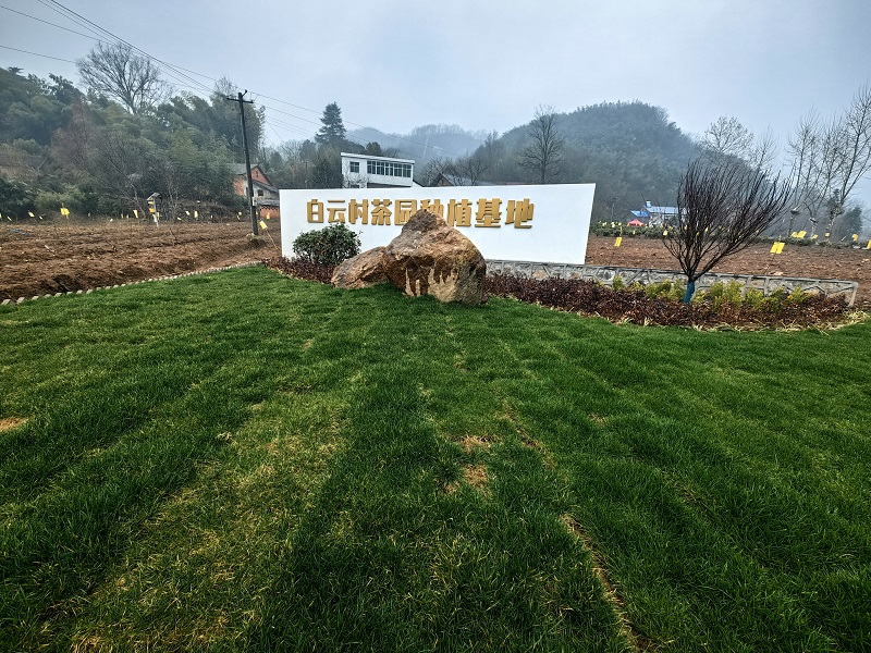 ʯŵƴںĿ